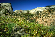 View #1 from Observation Point Trail