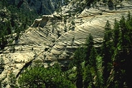 View #2 from Observation Point Trail