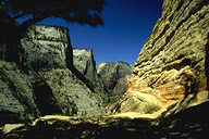 View #3 from Observation Point Trail