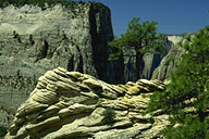 Rock Detail #2 along  Observation Point Trail