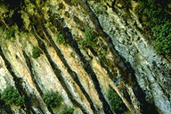 Close-up #1 of a Rock Garden at the Weeping Rock