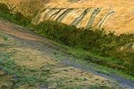 Close-up #2 of a Rock Garden at the Weeping Rock