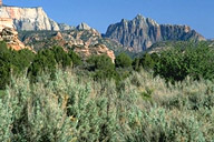 View #4 from Kolob Terrace