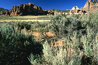 View #5 from Kolob Terrace